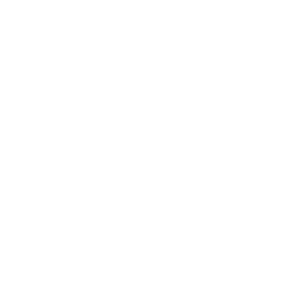 bic-logo-white-600x600